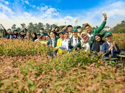 Beasiswa Teladan Tanoto Foundation 2026, Dapat Uang Saku-Kesempatan Magang