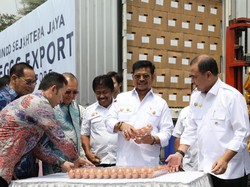 Mentan Klaim RI Surplus Telur 300.000 Ton, Jadi Bisa Diekspor