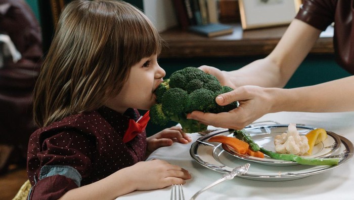 ilustrasi/Foto: Pexels/cottonbro studio