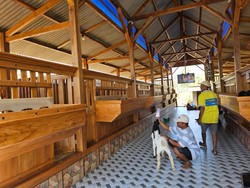 Apa Alasan Pemilik Bikin Kandang Kambing Mewah di Tuban
