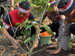 Ketua DPRD Jambi Gelar Aksi Tanam Pohon demi Cegah Polusi Udara