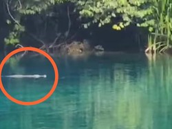 Danau Labuan Cermin yang Cantik Itu Dihantui Penampakan Buaya