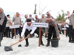 10 Ribu Pohon Ditanam di Lahan Eks Tambang Timah di Babel