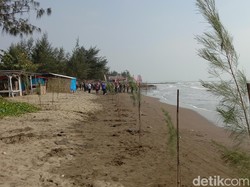 Upaya Mencegah Abrasi yang Mengintai Pantai Tirta Ayu Indramayu