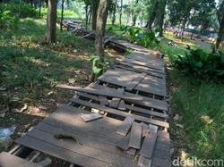 Pengelola Perbaiki Jembatan Kayu Tebet Eco Park yang Rusak Parah