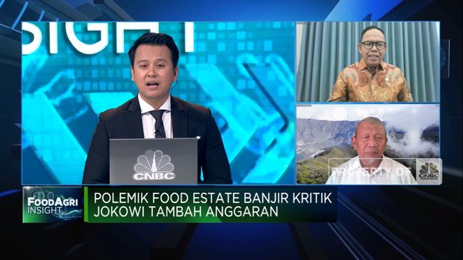 DPR Bisa Tidak Setujui Anggaran Food Estate Jokowi, Kenapa?