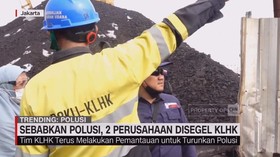 VIDEO: Sebabkan Polusi, 2 Perusahaan Disegel KLHK