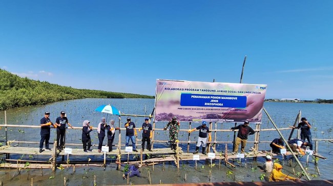 Momentum HUT ke-78 RI dirayakan PNM dengan melakukan penanaman 22.000 pohon mangrove di 3 kota, yaitu Makassar, Banjarmasin, dan Mataram.