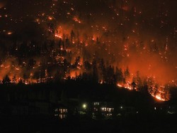 6 Kebakaran Hutan Terbesar di Dunia, Apakah Ada Indonesia?