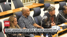 VIDEO: Resah Larangan Ekspor Benur, Nelayan Sambangi DPR