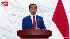 VIDEO: Jokowi Ungkap Hasil Pertemuan dengan Presiden Mozambik