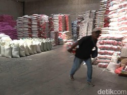 Harga Beras di Probolinggo Melebihi HET Usai Petani Gagal Panen