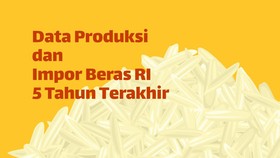 INFOGRAFIS: Data Produksi dan Impor Beras 5 Tahun Terakhir