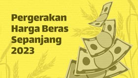 INFOGRAFIS: Pergerakan Harga Beras Sepanjang 2023