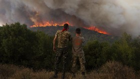 Kebakaran Hutan Landa Chile, Paling Mematikan Sedekade Terakhir