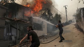 Lebih dari 600 Petugas Berjuang Padamkan Kebakaran Hutan Yunani
