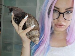 Kisah Wanita Jadi Kaya Raya karena Jualan Siput Jumbo