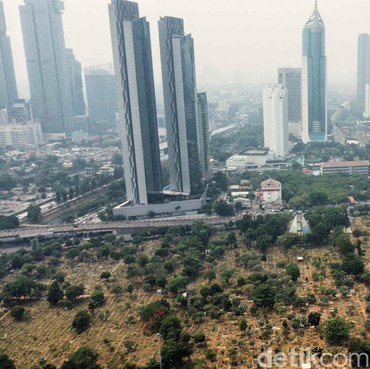 Ketika Pohon Mengubah Cara Warga Menikmati Ruang Publik