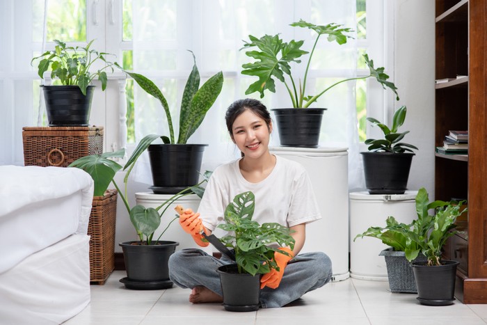 Menanam tanaman di rumah
