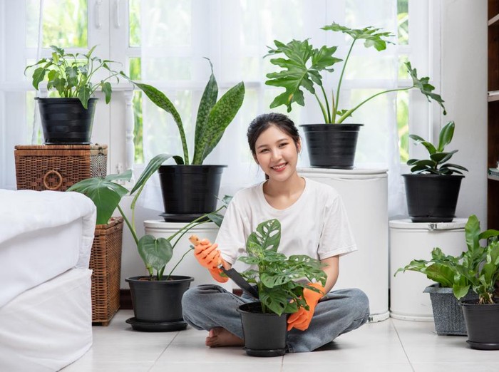 Menanam tanaman di rumah