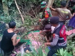 Tertidur dalam Warung, Sri Tewas Tertimpa Pohon Tumbang