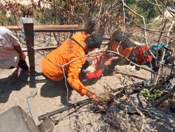 Niat Wisata ke Pantai Kelingking, Turis Jerman Patah Kaki