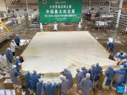 Wow! Perusahaan di China Berhasil Bikin Tahu Terbesar di Dunia