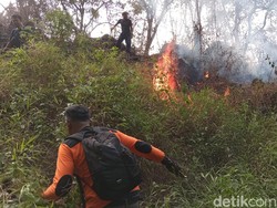 Tim Gabungan Masih Berjibaku Padamkan Karhutla Gunung Ciremai