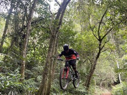 Tantang Adrenalin dengan Wisata Sepeda Gunung di Desa Penuktukan