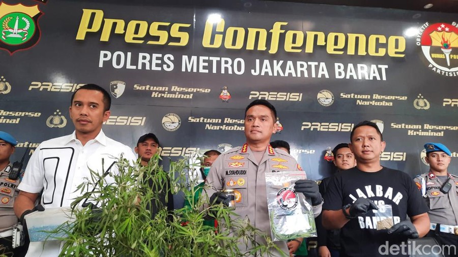 Polisi menangkap pesulap Oge Arthemus karena tanam tanaman ganja 5 pot.