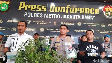 img-title Tanam Ganja di Rumah, Oge Arthemus Sebut Untuk Konsumsi Pribadi