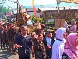 Ramai-ramai Usung Akar Pohon di Kirab Oyot Genggong Banjarnegara