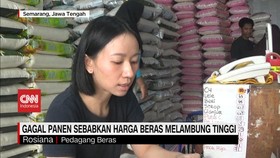 VIDEO: Gagal Panen Sebabkan Harga Beras Melambung Tinggi