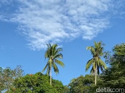 BMKG Sebut Sudah Ada 3 Titik Hotspot di Riau, tapi Masih Rendah