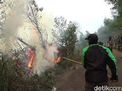 Kawasan Hutan di TNBTS Terbakar, Api Masih Belum Bisa Dipadamkan!