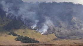 Terdakwa Karhutla Bromo Akibat Flare Prewedding Divonis 2,5 Tahun Bui