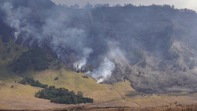 Kebakaran hutan dan lahan (karhutla) di kawasan Taman Nasional Gunung Bromo Tengger Semeru (TNBTS) terjadi sejak Jumat lalu. kobaran api belum bisa dipadamkan.