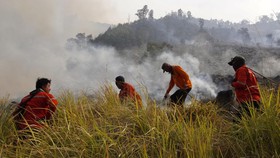 Karhutla Bromo Imbas Flare Belum Padam, 274 Hektare Lahan Terdampak