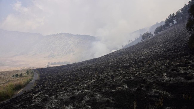 Pengunjung yang diduga memicu kebakaran lagi di savana Bukit Teletubbies Gunung Bromo telah diamankan. Wisata Bromo dan sekitarnya pun ditutup sementara.