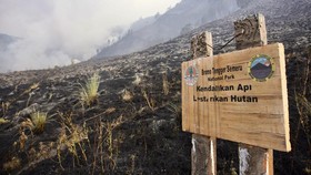 Kebakaran Berhasil Dipadamkan, Jalur Wisata Gunung Bromo Dibuka Lagi