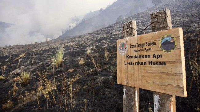 Waspada daerah-daerah yang rawan karhutla buntut kekeringan panjang terutama di Jawa. Simak daftarnya.