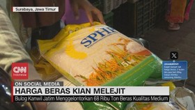 VIDEO; Harga Beras Kian Melejit