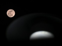 7 Fenomena Langit Mei 2024: Ada Flower Moon-Hujan Meteor Eta Aquarids