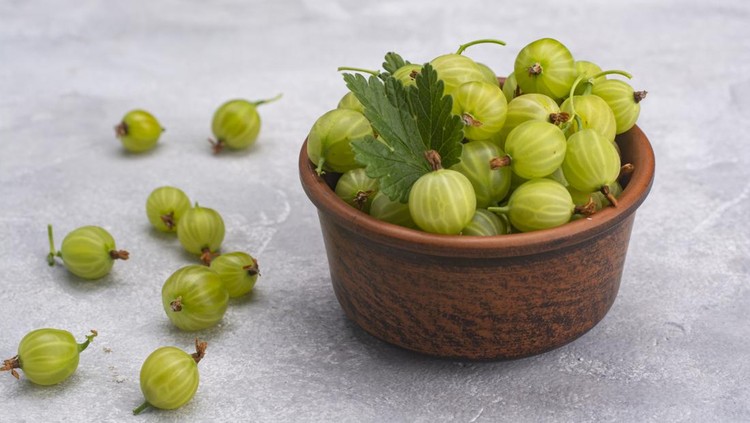 Gooseberry Gooseberries in a ceramic bowl close-up on a light background.