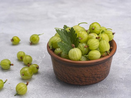 7 Manfaat Buah Gooseberry atau Amla untuk Ibu Hamil, Bisa Tingkatnya Imun