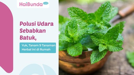 Detik Network