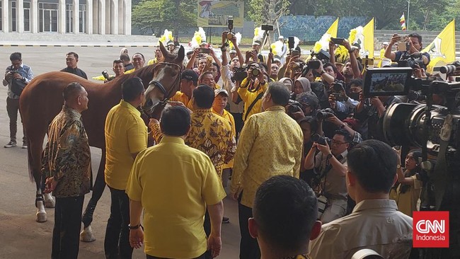 Ketum Golkar Airlangga Hartarto menyebut kuda yang diberikan ke Prabowo tersebut hasil pengembangbiakan yang dilakukan oleh politikus Golkar Bambang Heri.