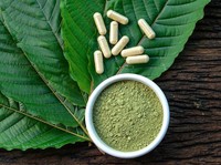 Daun Surga Asal Kalimantan Diborong Warga AS, Ternyata Ini Khasiatnya Daun Surga Asal Kalimantan Diborong Warga AS, Ternyata Ini Khasiatnya