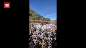 VIDEO: Melihat Fenomena Embun Upas Kembali Muncul Di Gunung Bromo