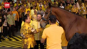 VIDEO: Airlangga Ungkap Makna Beri Seekor Kuda Ke Prabowo